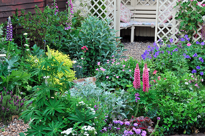 Garden Flowers with narrow path to seating area