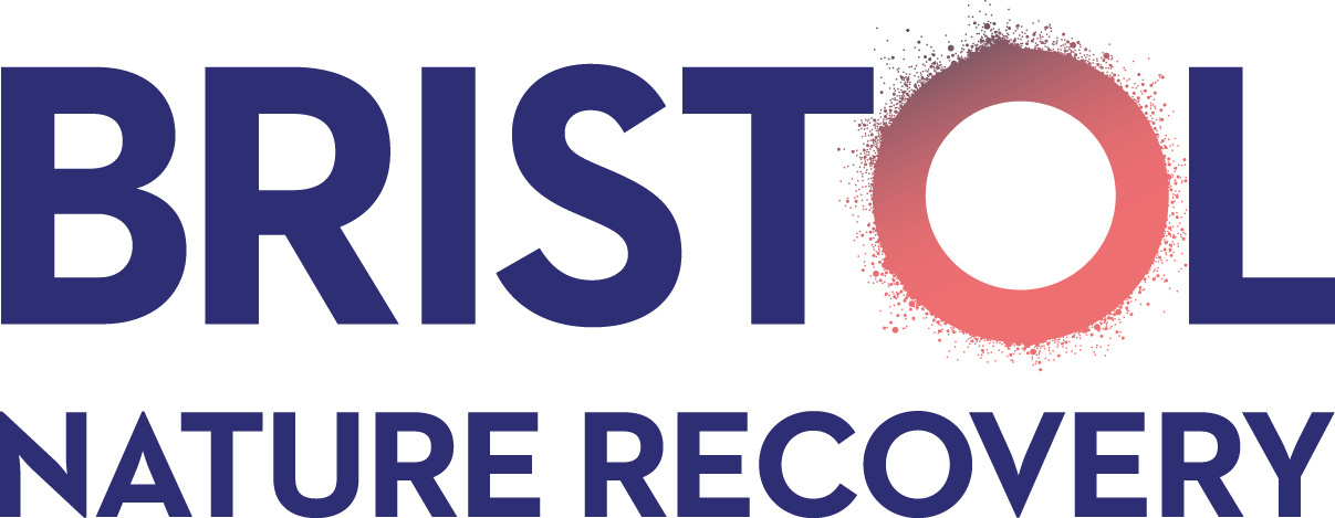 Bristol Climate Recovery Logo