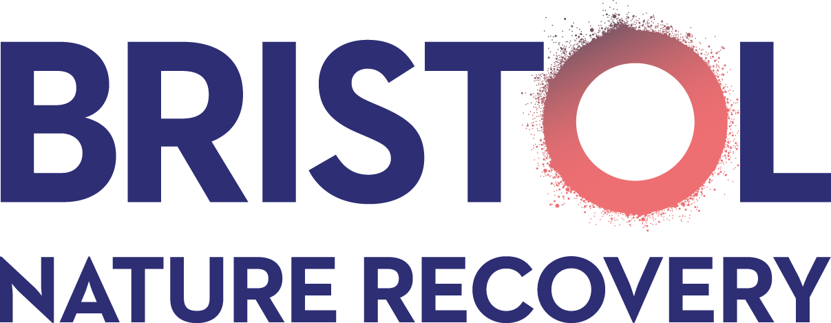 Bristol Climate Recovery Bristol Climate Recovery Logo