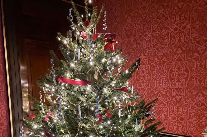 Christmas tree Christmas tree